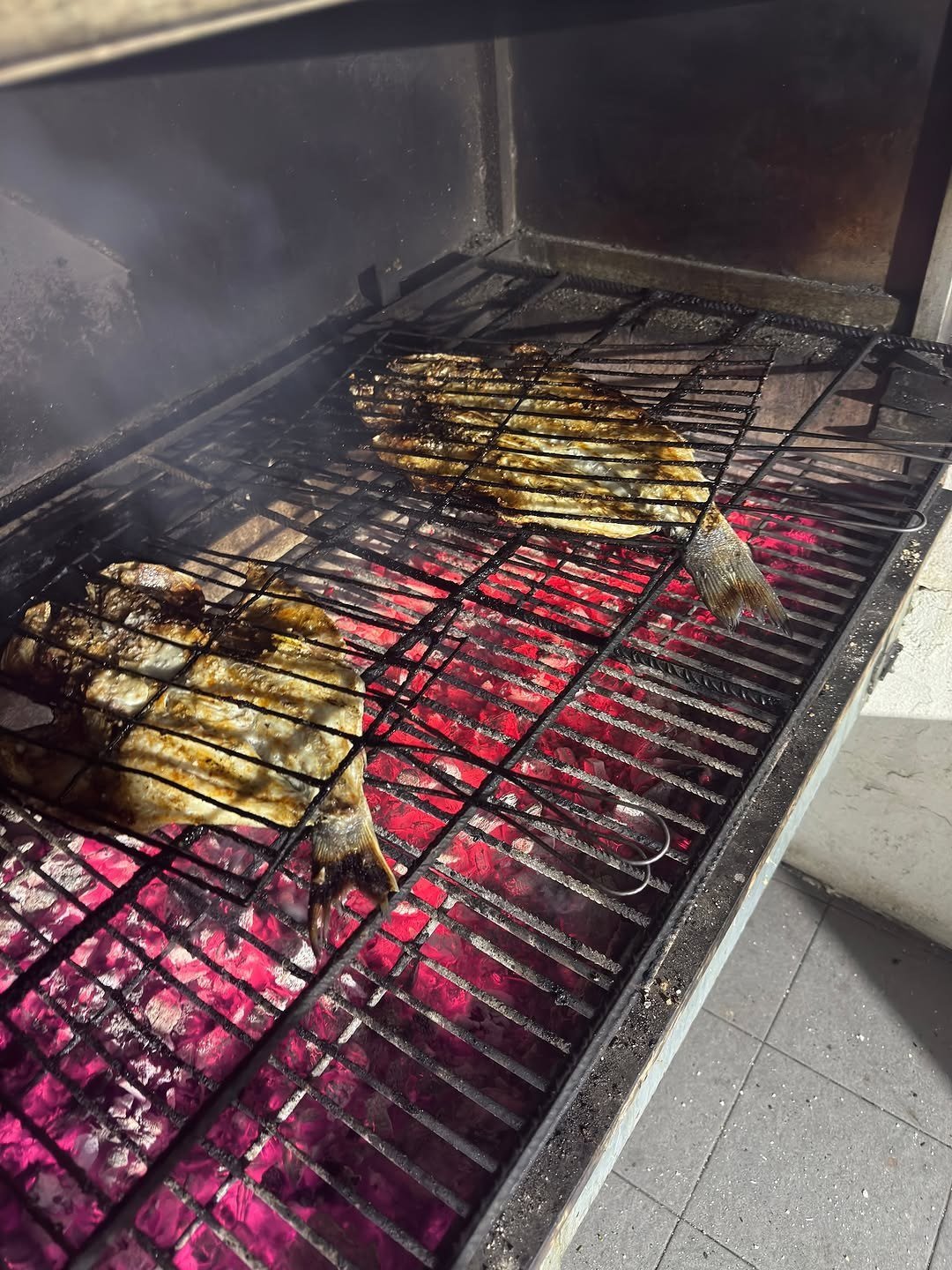 Dois peixes numa grelha sobre carvão em brasa