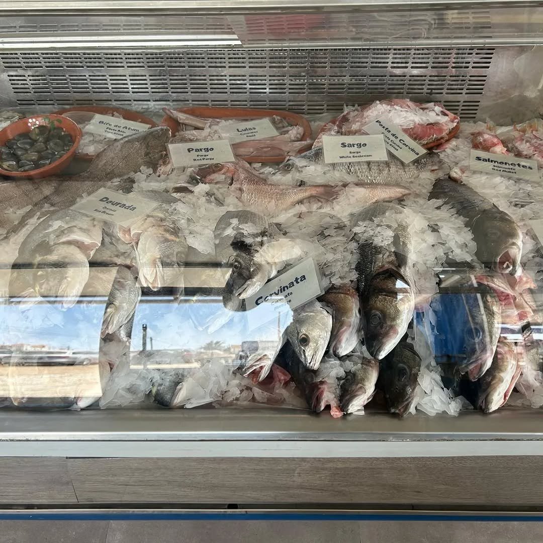 Vitrine com peixe fresco em gelo e etiquetas com os nomes das espécies